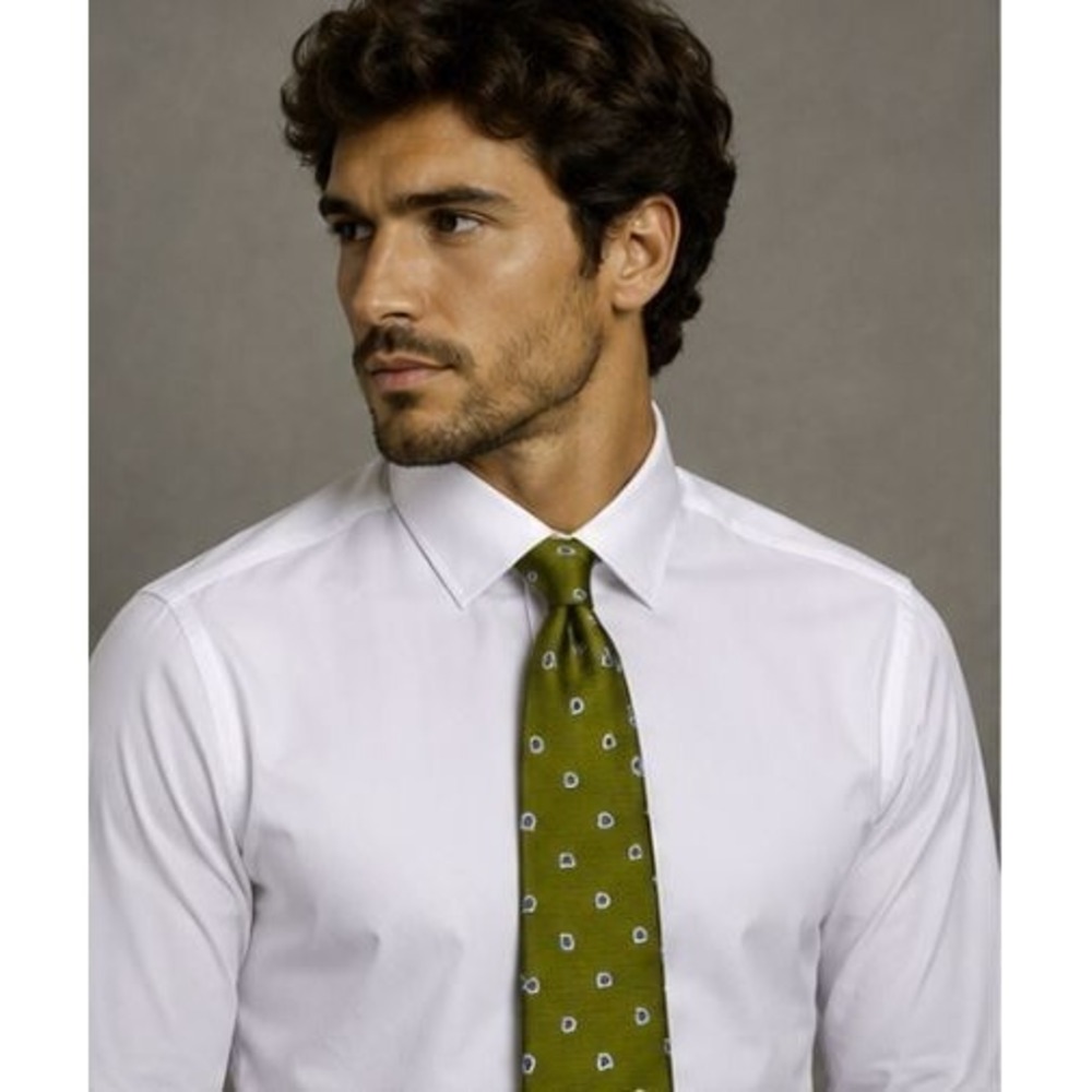 Brooks Basics 100% Silk Tie Olive Green Blue Paisley USA Made Preppy Ivy League